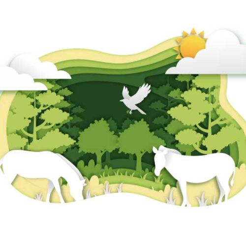 Ya que todas las especies dependemos unas de otras y sin especies dejaría de haber vida Ya que todas las especies dependemos unas de otras y sin especies dejaría de haber vida