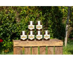 6 tarros de miel milflores de 1 K 6 tarros de miel milflores de 1 K