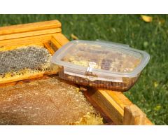 Miel milflores en panal de 250gr Miel milflores en panal de 250gr